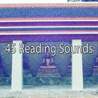 45 Reading Sounds
