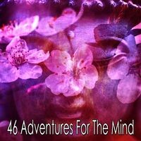 46 Adventures for the Mind