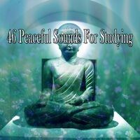 46 Peaceful Sounds For Studying
