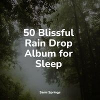 50 Blissful Rain Drop Album for Sleep