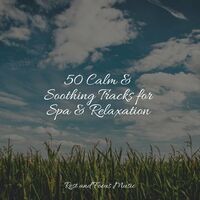 50 Calm & Soothing Tracks for Spa & Relaxation