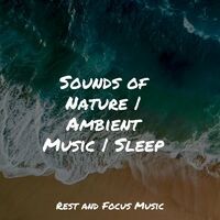 50 Calming Sounds for the Spa Music
