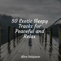 50 Exotic Sleepy Tracks for Peaceful and Relax