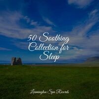 50 Soothing Collection for Sleep