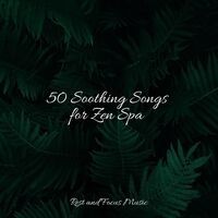 50 Soothing Songs for Zen Spa