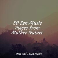 50 Zen Music Pieces from Mother Nature
