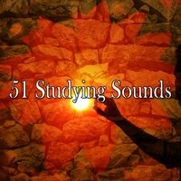 51 Studying Sounds