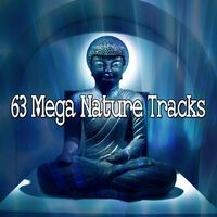 63 Mega Nature Tracks