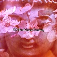 63 Mindfulness Training