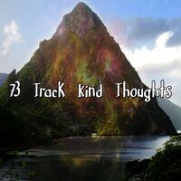 73 Track Kind Thoughts
