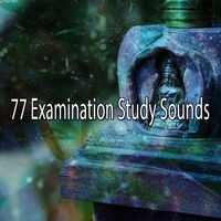 77 Examination Study Sounds