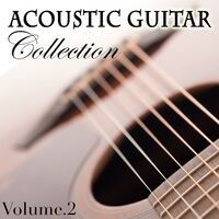 Acoustic Guitar Collection