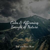 Calm & Affirming Sounds of Nature