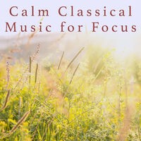 Calm Classical Music for Focus