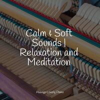 Calm & Soft Sounds | Relaxation and Meditation