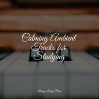 Calming Ambient Tracks for Studying