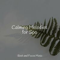 Calming Melodies for Spa