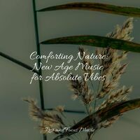 Comforting Nature: New Age Music for Absolute Vibes
