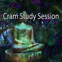 Cram Study Session