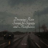 Dreaming Rain Sounds for Serenity and Mindfulness
