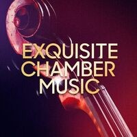 Exquisite Chamber Music
