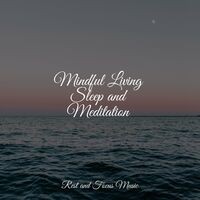 Mindful Living Sleep and Meditation
