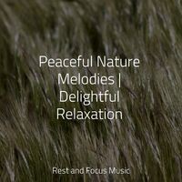 Peaceful Nature Melodies | Delightful Relaxation