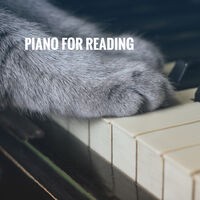 Piano for Reading