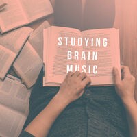 Studying Brain Music
