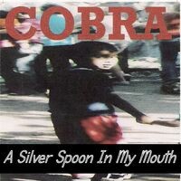 A Silver Spoon in My Mouth