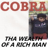 Tha Wealth of a Rich Man