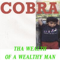 Tha Wealth of a Wealthy Man