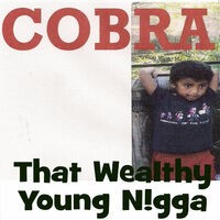 That Wealthy Young Nigga