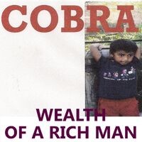 Wealth of a Rich Man