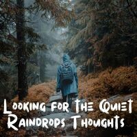 Looking for the Quiet Raindrops Thoughts