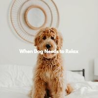 When Dog Needs to Relax