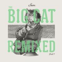 The Big Cat Remixed, Pt. 1