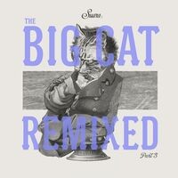 The Big Cat Remixed, Pt. 3