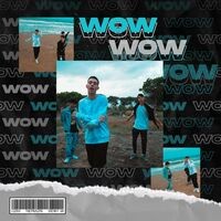 WOW (feat. ThePauSing & Sneaky wh)