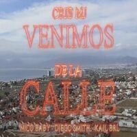 Venimos de la Calle (Remix)
