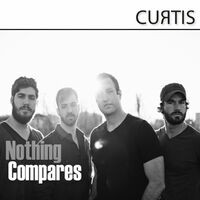 Nothing Compares - Single