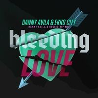 Bleeding Love (Danny Avila & Reggio VIP Mix)