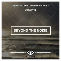 Beyond The Noise
