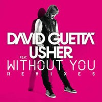 Without You (feat.Usher) [Remixes]