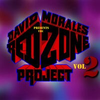 The Red Zone Project Vol. 2 [Presented by David Morales]