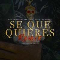 Sé Que Quieres (feat. Brytiago, Jon Z & Almighty) (Remix)