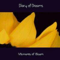 Moments of Bloom