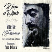 Vuelve el Flameco: Homenaje a Paco de Lucía