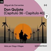 Don Quijote 7 (Capítulo 36 - Capítulo 40)