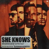 She Knows (with Akon) (Per Pleks Remix)